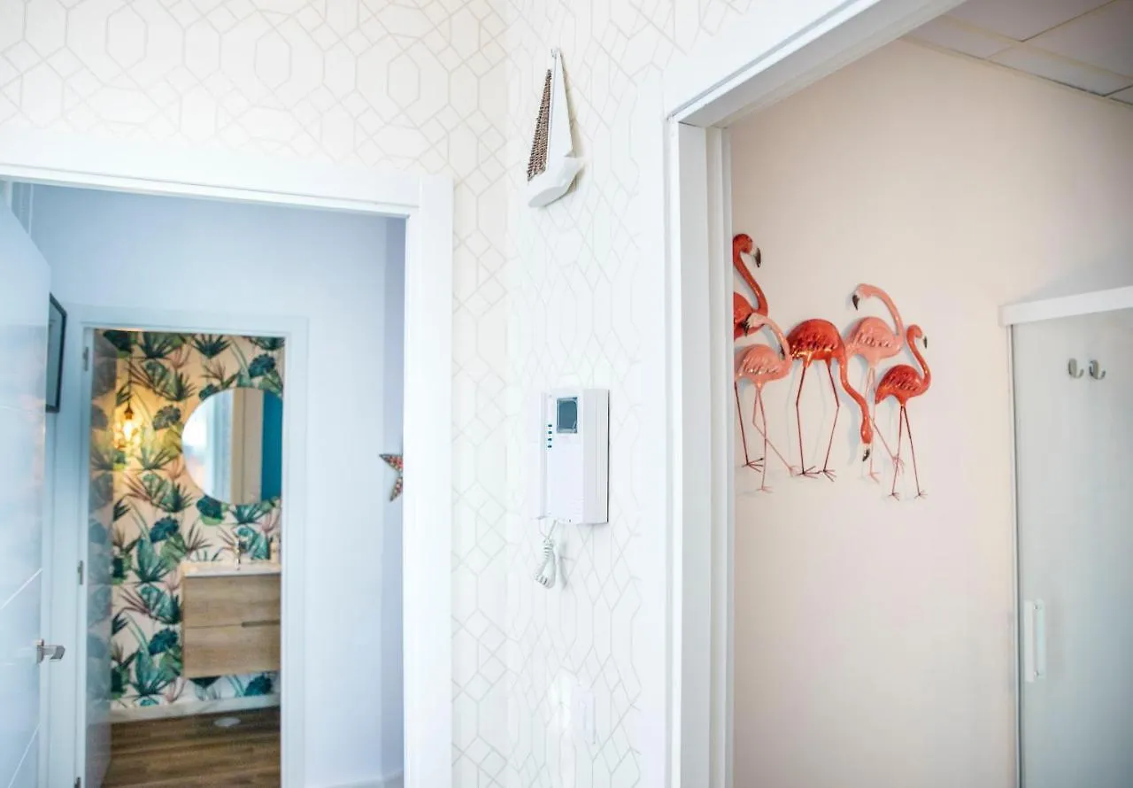 Popeye Suite: Puerto Marina Island Retreat with Rooftop Pool Benalmadena Apartment
